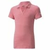 PUMA Golf Puma Girls Cloudspun Free Polo -Fairway Woods Sales Store 530673 08 93549.1660846691