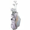 Top-Flite XL Ladies Set - RH (Standard) -Fairway Woods Sales Store tfs0060 93599.1674186022